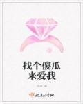 给你找一个傻子