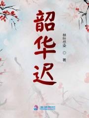 韶华迟暮下一句怎么接