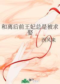 和离后前王妃总是被求娶41
