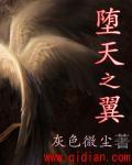 坠天之翼