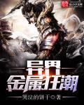 金属狂潮第二部