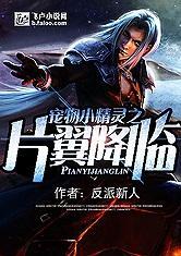 宠物小精灵之片翼降临第八区