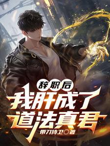 辞职后我成了蓬莱