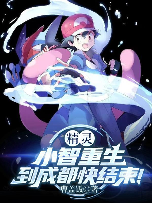 神奇宝贝小智重生之子