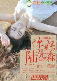 你好陆先生全文