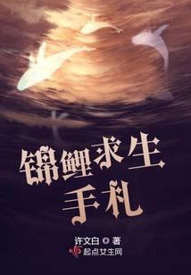 锦鲤求生手札免费阅读