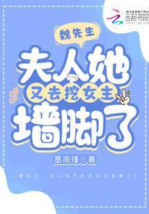 魏先生请负责全文免费阅读