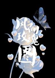 风向玫瑰图CAD