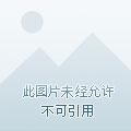 我在末世有座镇