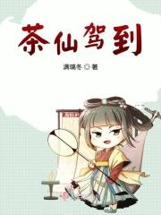 茶仙歌词