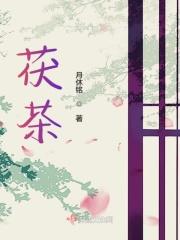 茯茶冲泡方法